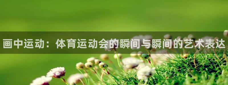 JJB竞技宝官网下载平台假的吗是真的吗吗:画中运动:体育运动