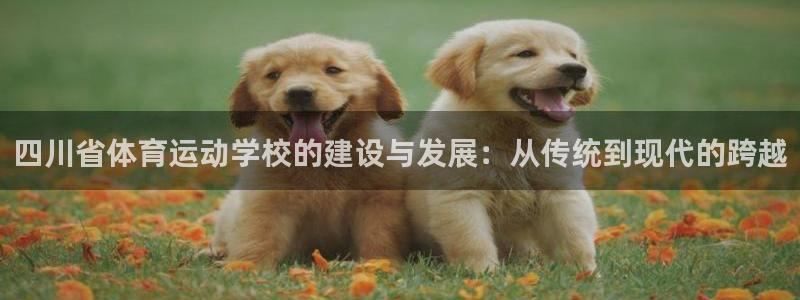 JJB竞技宝官方正版app娱乐:四川省体育运动学校的建设与发