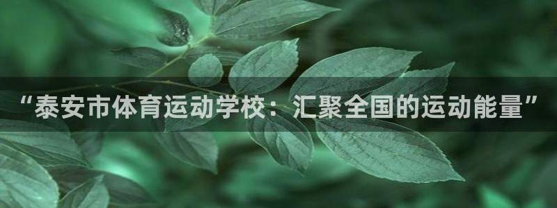 JJB竞技宝官网下载招商电话号码:“泰安市体育运动学校:汇聚